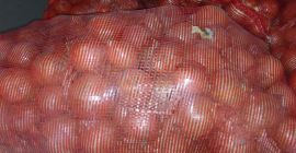 Cebolla manas