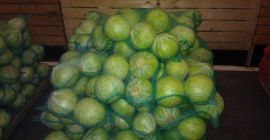 Venderé col blanca. Calibre y empaque a convenir.