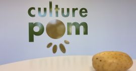 Caesar: Originalmente de Holanda, esta papa tiene una textura