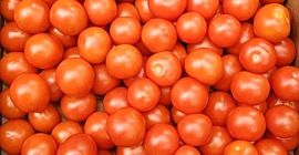 Cóctel de tomate, fresco, bonito, cartón de 3 kg.
