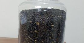 venta de contenido de aceite de colza 46%, 30