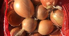 Venderé cebollas doradas, de muy buena calidad, sin calibrar,