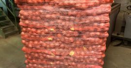 Somos una empresa en Irán y podemos suministrar las