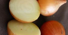 La cebolla fresca exporta la nueva cosecha de cebolla