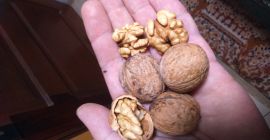 Hola, vendo nuez en cantidades tonales de cáscara. Precio