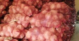 vendemos Calibre Onion de alta calidad (Tel, whatsapp: +