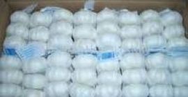 Estimado señor / señora, somos los principales vendedores y