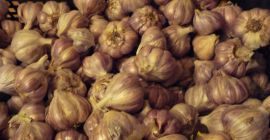 Venderé ajo orgánico con un certificado actual de Agrobiotest.