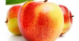 VENDERÉ MANZANAS !!! ¡Venderé manzanas de la variedad -