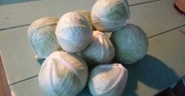 Comercializadora de la variedad mucsuma, 1-3 kg. La forma