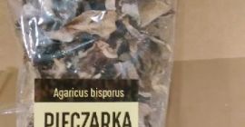 Venderé champiñones secos, empacados en 25 gramos, 50 gramos