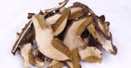 Venderé champiñones secos, empacados en 25 gramos, 50 gramos