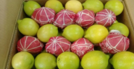 Venderé CYTRYNY, 3/4/5. País de origen Portugal. Precio 0.90