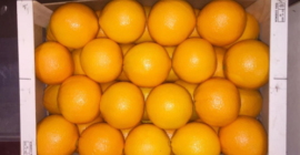NARANJA, 3/4/5 para la venta. País de origen Portugal.