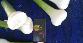 Ajo del productor País de origen Egipto Precio 800