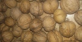 Venderé nueces, sin cáscara orgánica, seca, año 2018, alrededor