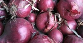 ¡Venderé cebollas rojas! No quemado, clasificado, en sacos Big