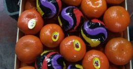 ¡Voy a vender una mandarina de Turquía cal 1