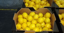 Limón fresco, bonito, primera clase, importación de España, 5-10