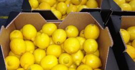 Venderé un limón, importado de España, bonito, fresco, clase