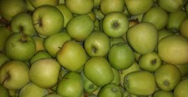 Venderé una deliciosa manzana de oro de KA. Manzana