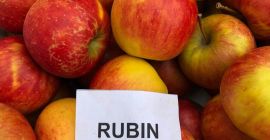 Vendo * 7 toneladas de RUBINA de Smart Fresh