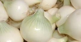 Ofrecemos cebollas frescas de WhatsApp: + 45 36 99