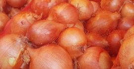 Venderé cebollas en grandes cantidades. Min 100 toneladas a