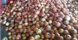 Cebolla roja, amarilla y blanca fresca Tenemos cebolla roja,