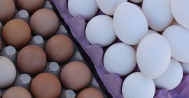 Ucrania. Huevos para gallinas dietéticas de 1.7l pack de