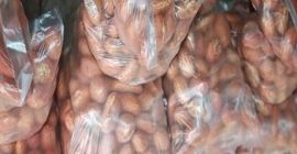 Nos sentimos orgullosos de presentarnos como un exportador, distribuidor