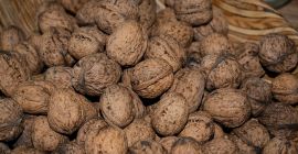 Venderé nueces a partir de 2018. Las nueces son