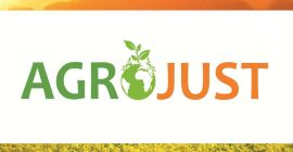 Compraremos cualquier cantidad de guisantes. Recogemos nuestro propio transporte