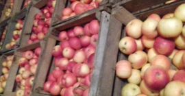 Venderé 10 toneladas de una cámara de almacenamiento para