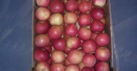 La productora polaca te invita a la cooperación! Ofrecemos