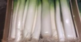 Venderé un puerro en una caja de calibre 2-3