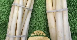 Señoras y señores, el productor polaco le invita cordialmente