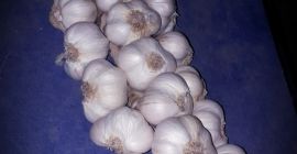 Hola, vendo trenzas de Polaco Ajo Jarosz. Para más