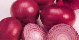 Somos vendedores directos, exportadores de productos agrícolas, alimentos y