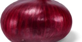 Somos vendedores directos, exportadores de productos agrícolas, alimentos y