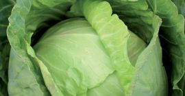 Ofrecemos cebollas frescas, ajo, jengibre, kale 2019 a los