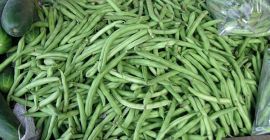 Ofrecemos judías verdes frescas, rojas, negras, etc. A los