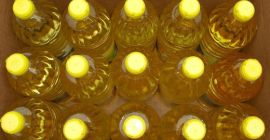 venderé girasol refinado de Grado A de Ucrania (whatspp: