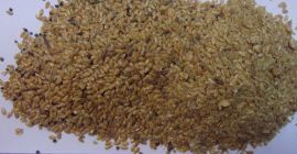 Para la venta Flax Gold II grado, calidad compatible