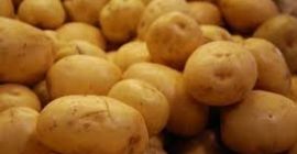 Patatas frescas para la agricultura 1) Forma regular 2)