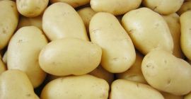 Patatas frescas de Dinamarca 1. Especificaciones: 1) 50-100 g