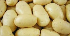 Nuestras patatas de los Países Bajos. Somos uno de