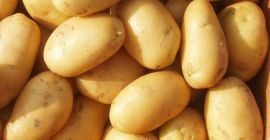 La papa contiene muchos carbohidratos, también contiene proteínas, minerales