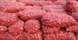 Nuestra función principal es entregar verduras y frutas frescas