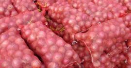 Nuestro principal objetivo es entregar verduras y frutas a